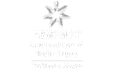 ABMS Plastic Surgery certification logo